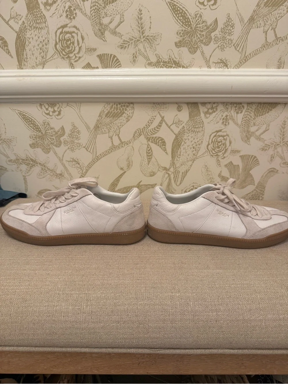 Coach low top